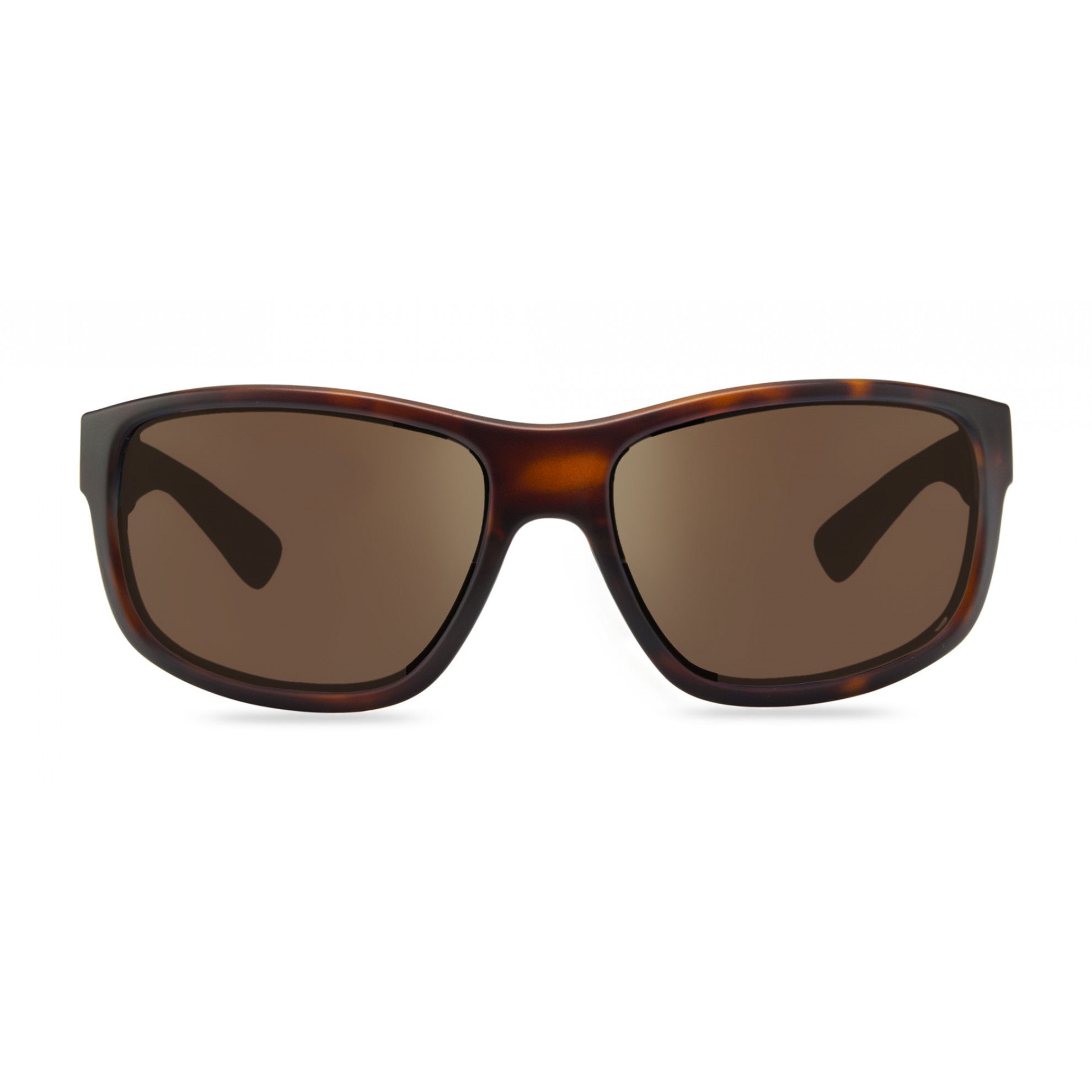 Revo baseliner sunglasses online